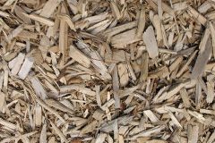 biomass boilers Purleigh